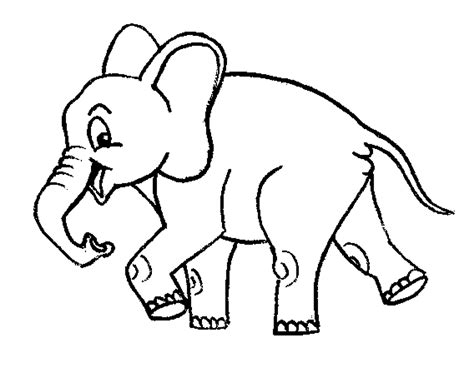 فيل للتلوين